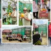 Panen Perdana Melon Hidroponik SMK Negeri-1 Pangkalan Lada