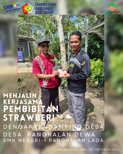 Kontrak Kerja Sama Pembibitan Stroberi dengan Pendamping Desa SP 1 Lada (Desa Pangkalan Dewa)